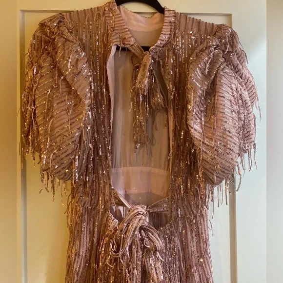 Rotate Birger Christensen Dawn Sequins Fringes Dress - Worn Once - Picture 7 of 9